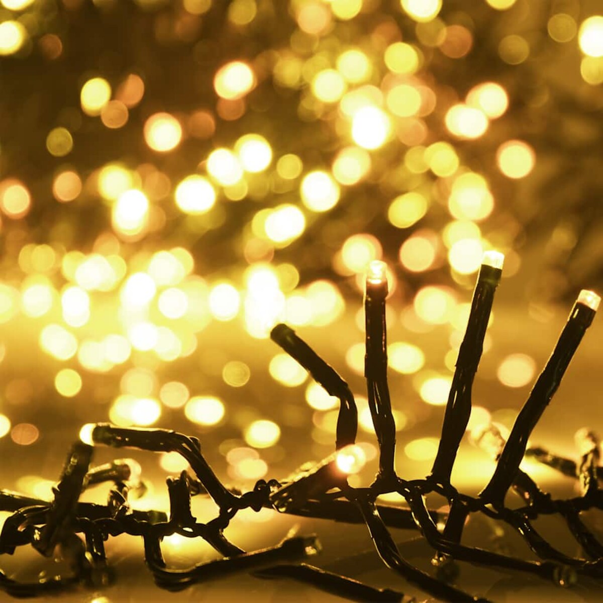 vidaXL Sznur lampek LED, 2000 diod w kolorze ciepłej bieli, 17 m, PVC