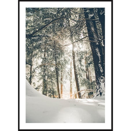 Poster Story, Plakat, Obraz - Zimowy Las z Lotu Ptaka, wymiary 70 x 100 cm