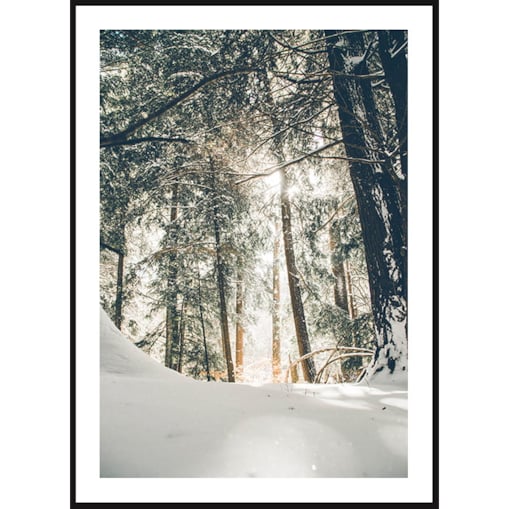 Poster Story, Plakat, Obraz - Zimowy Las z Lotu Ptaka, wymiary 70 x 100 cm