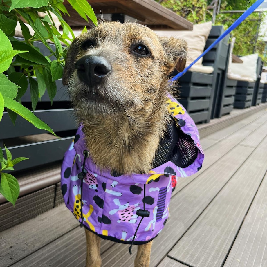 Płaszcz przeciwdeszczowy dla psa Pieski Floreski - Rozmiar: XS