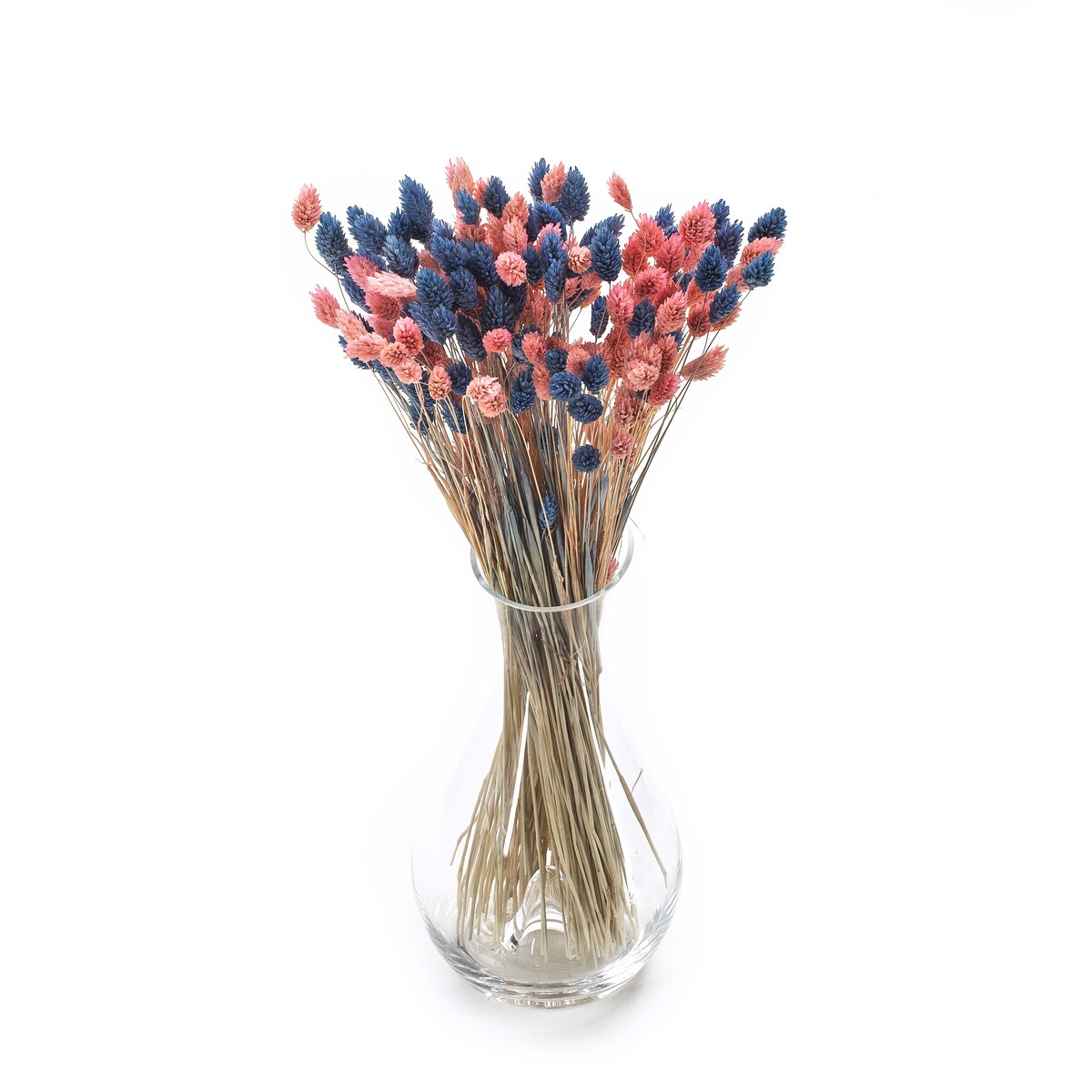 Zestaw duo suszonych traw phalaris niebieski & phalaris jasnoróżowy