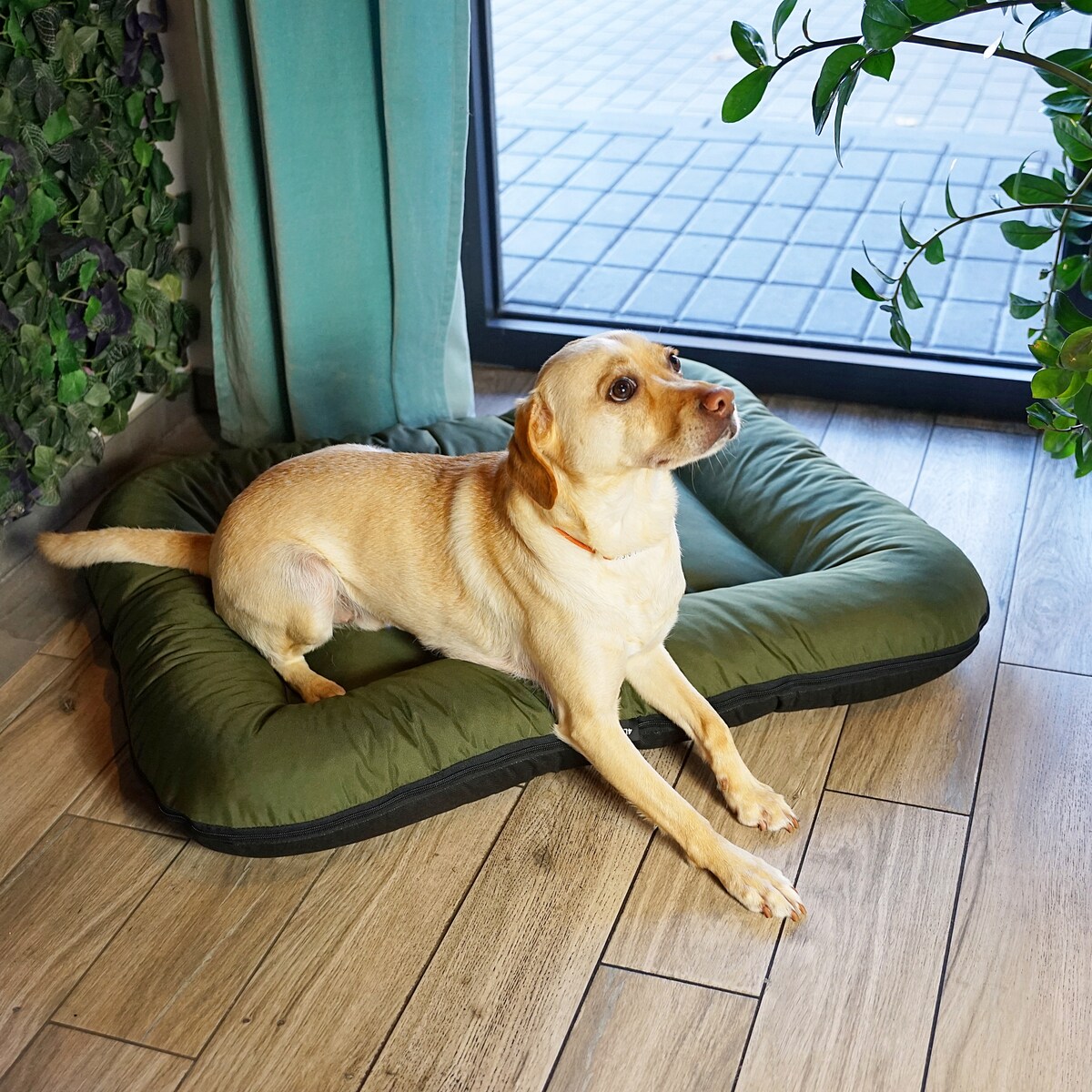 Wodoodporny materac dla psa ponton KLEO, 110x90 cm, Zielony