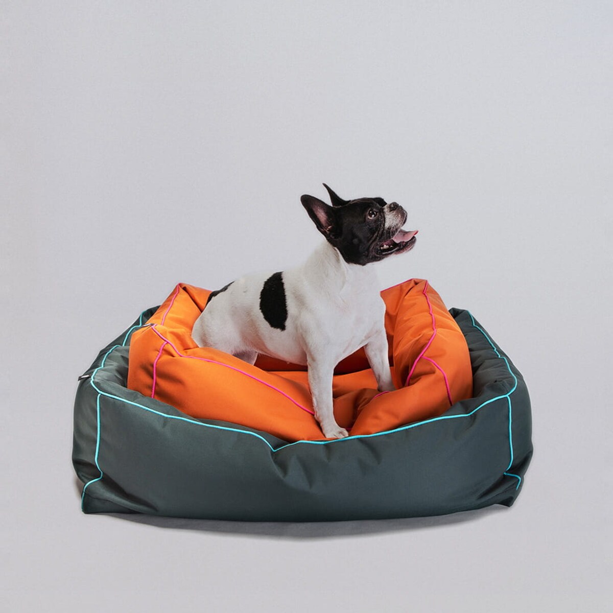 Legowisko dla psa Bone - S - 60x50cm