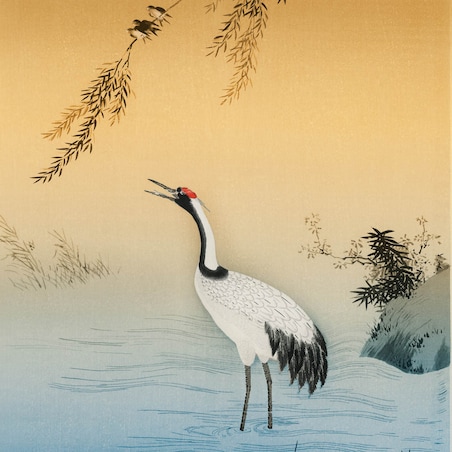 bawełniana poszewka na poduszkę - Żuraw i zachodzące słońce 40x60 cm