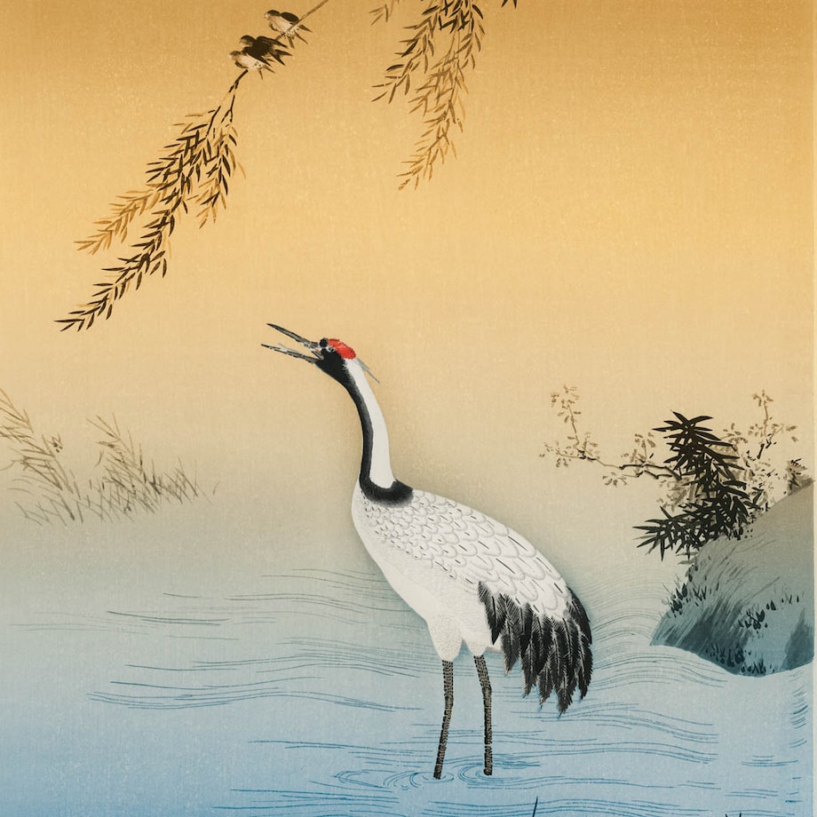 bawełniana poszewka na poduszkę - Żuraw i zachodzące słońce 40x60 cm