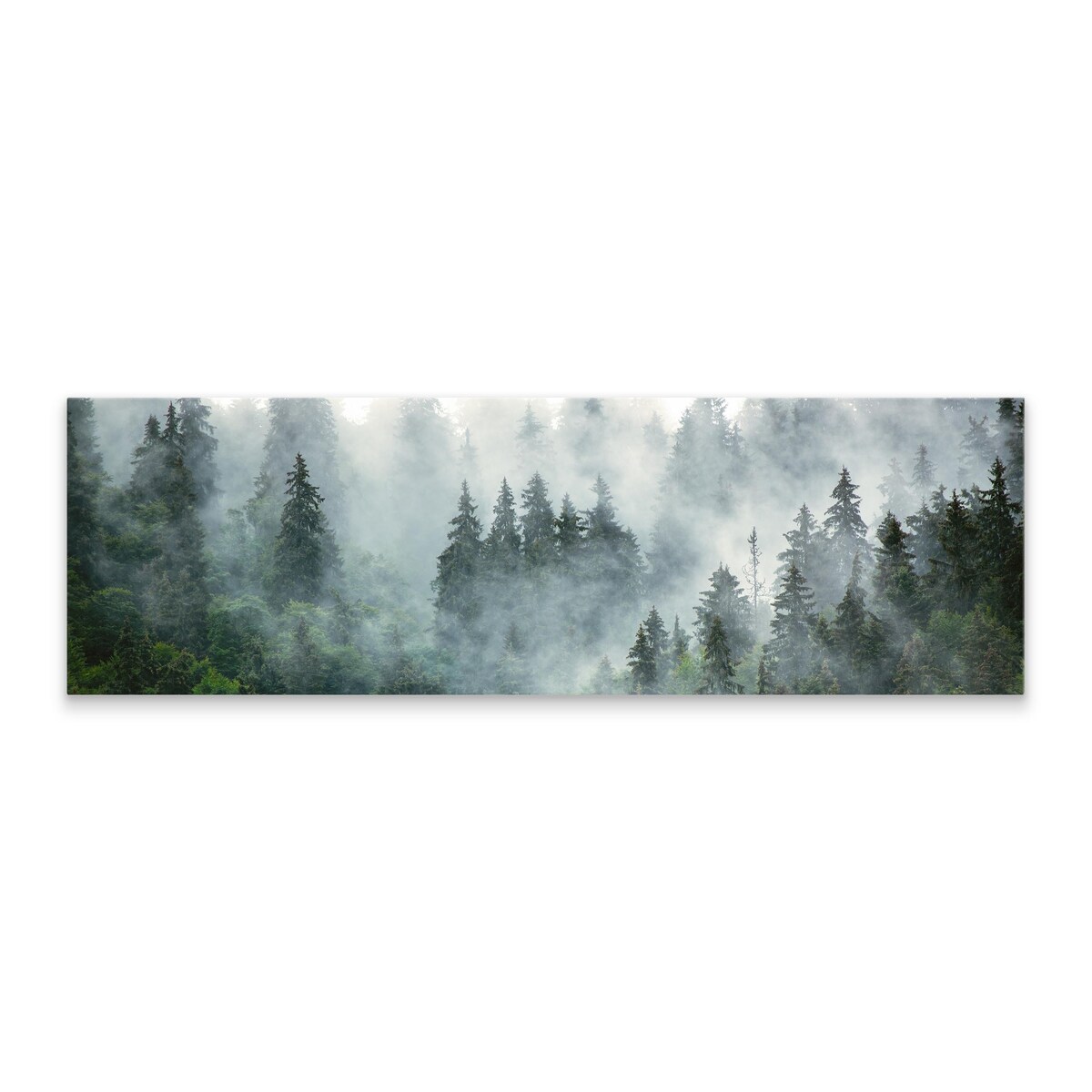 Obraz Panoramiczny Widok Na Las We Mgle 145x45cm