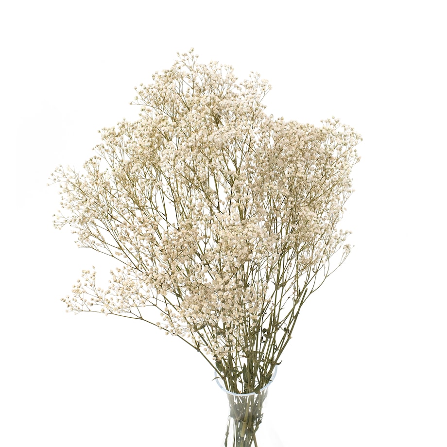 Stabilizowana Gipsówka Naturalna