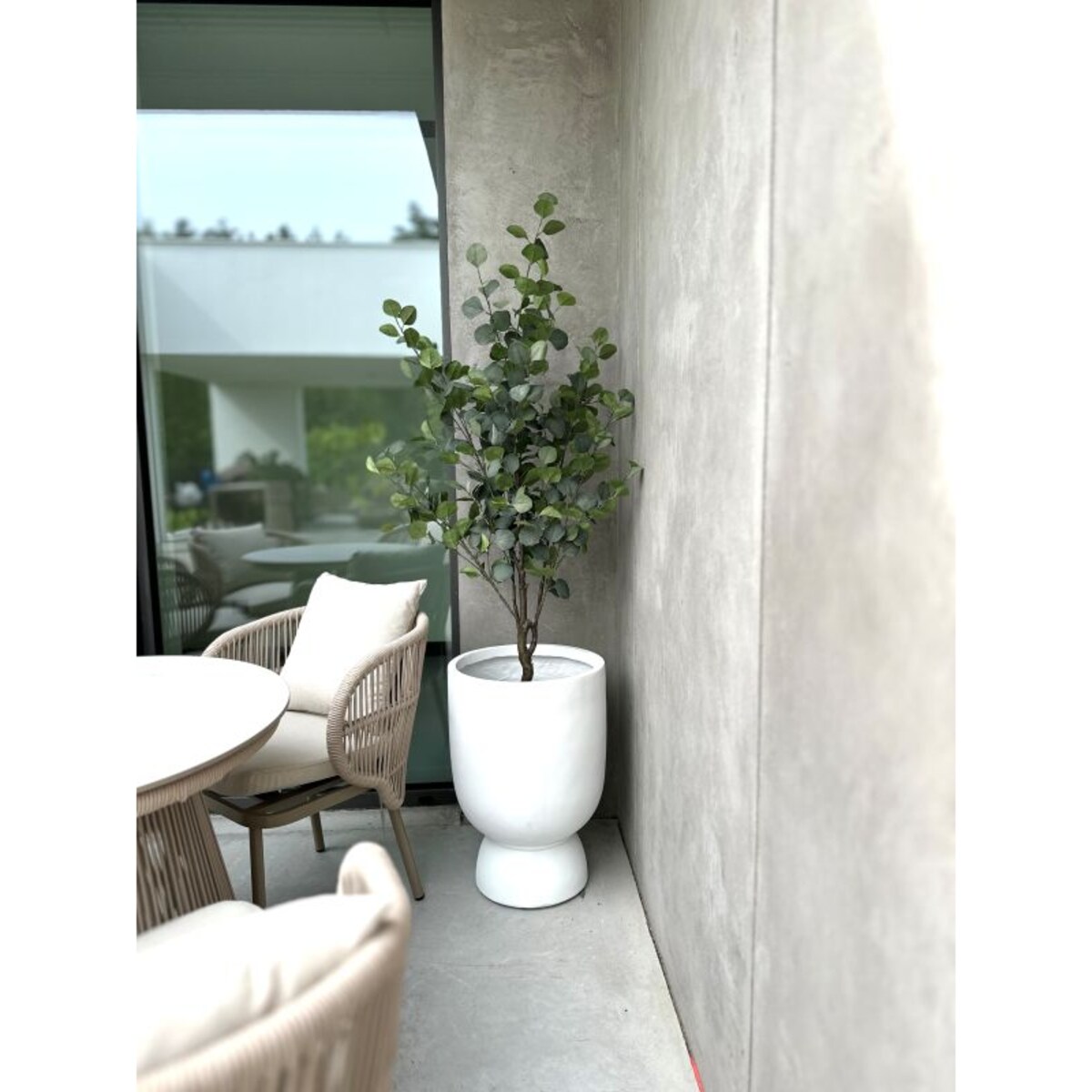 DRZEWKO EUKALIPTUSOWE 150 cm