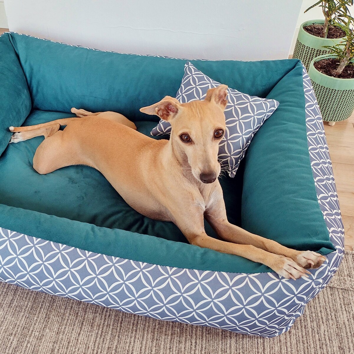 Stylowe legowisko dla psa OTTO, 80x60 cm, Turkus