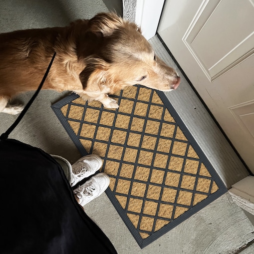 Wycieraczka wejściowa Panama 40x60 cm guma-kokos