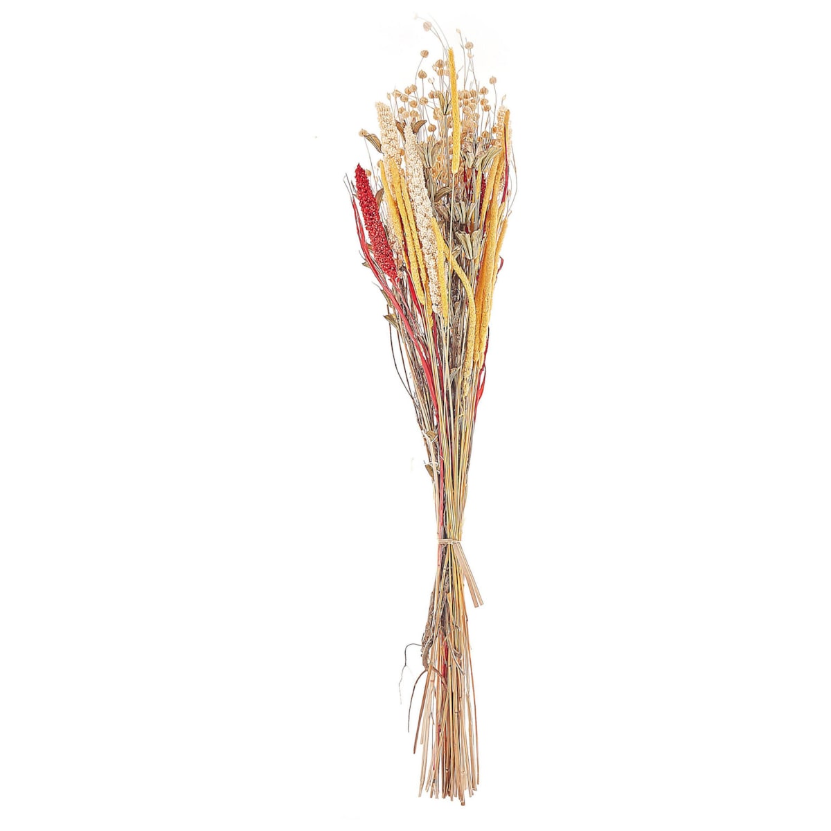 Bukiet suszonych kwiatów 65 cm czerwono-żółty PAMPELUNA
