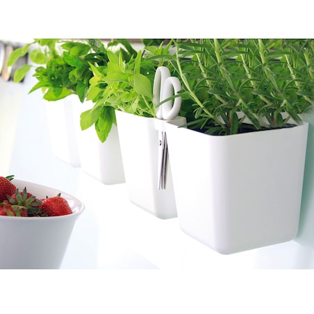 Doniczka Na Zioła Donica Doniczki + Nożyczki Biała