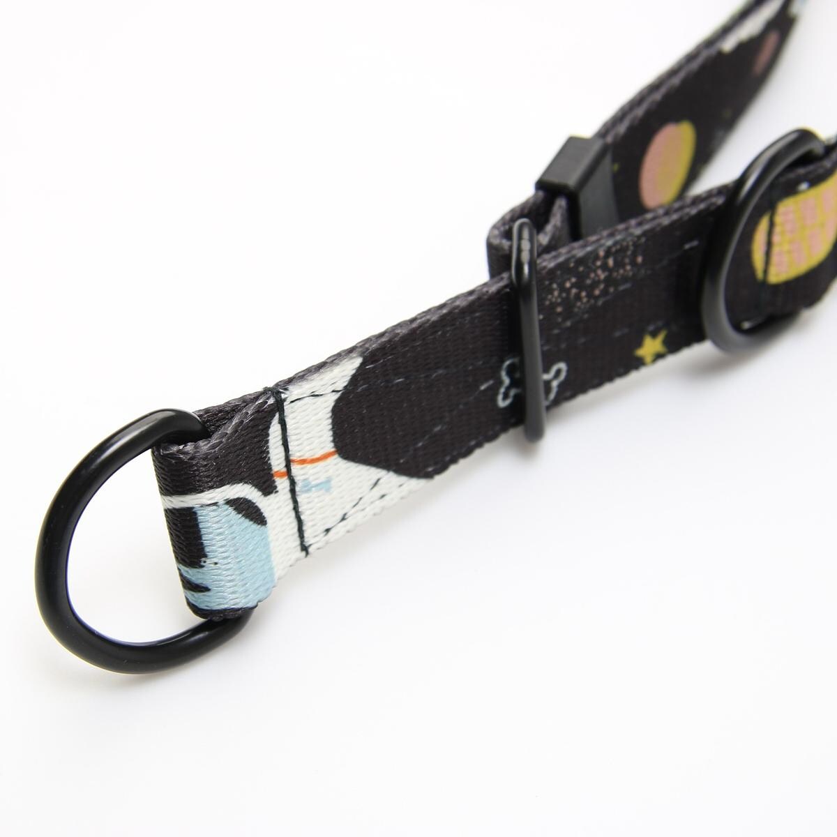 Obroża półzaciskowa dla psa lub kota "I need space" - Szerokość taśmy: 25mm, Rozmiar: L