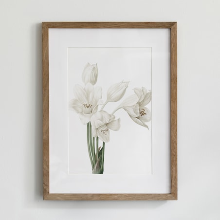 Plakat Krynia 21x30cm