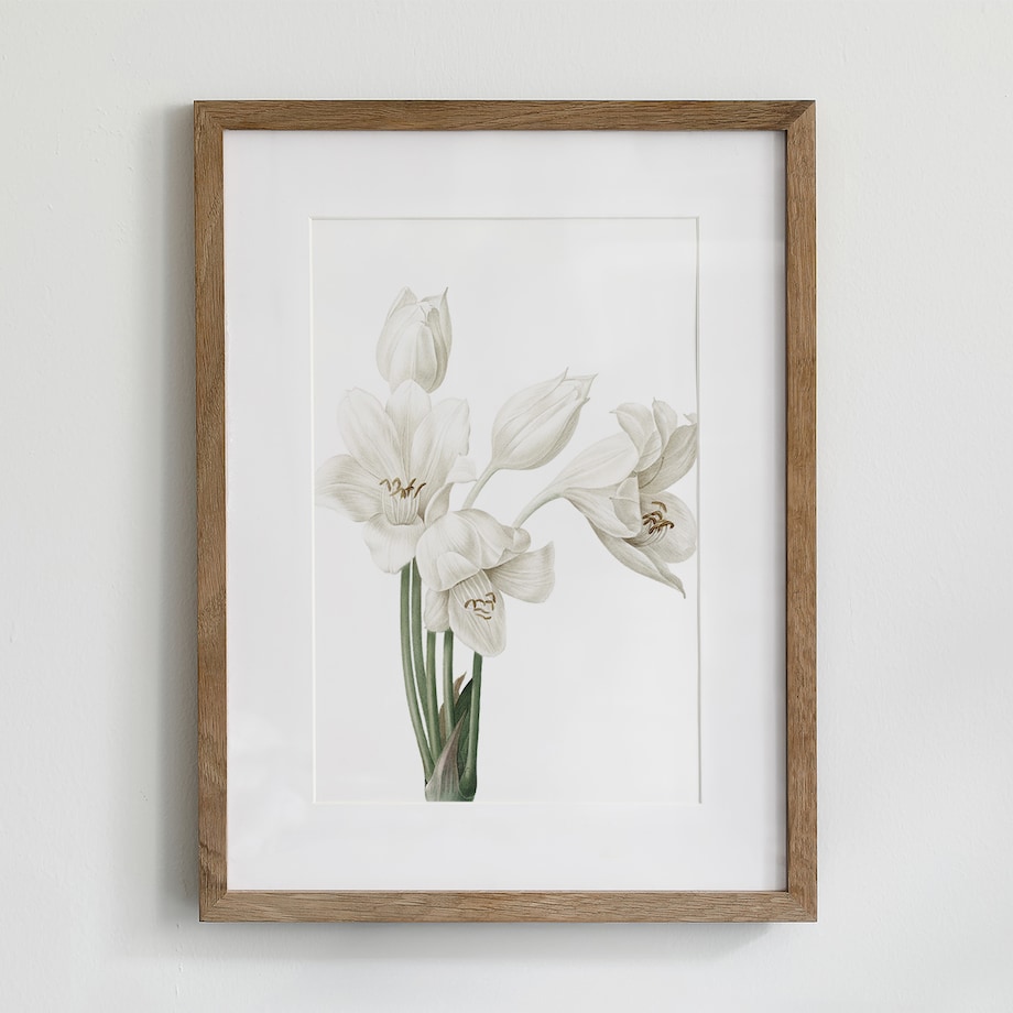 Plakat Krynia 21x30cm