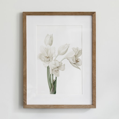 Plakat Krynia 21x30cm