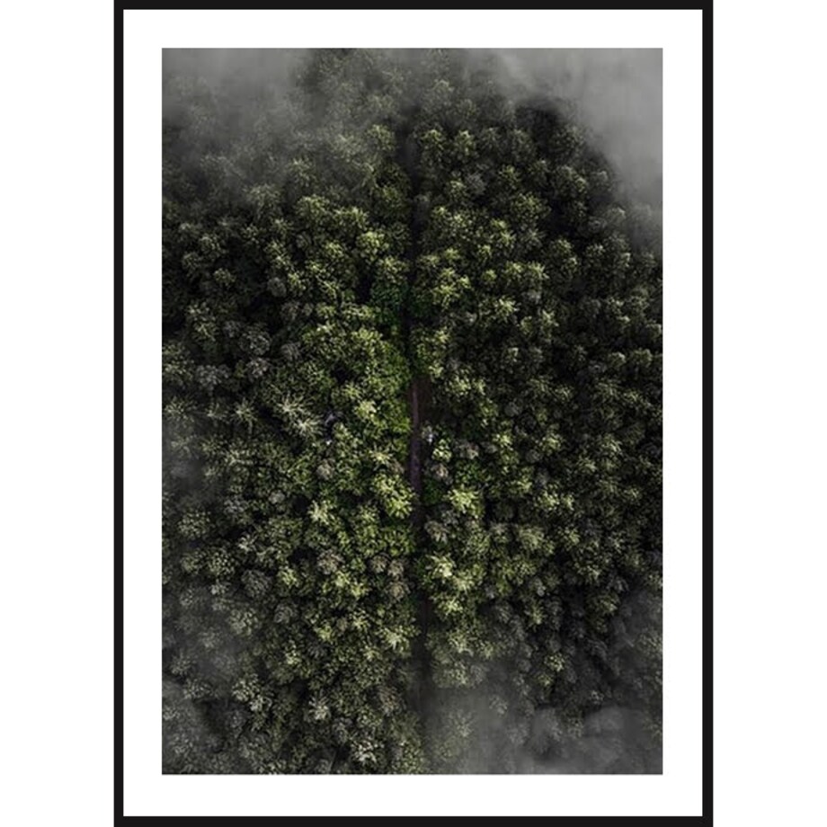 Poster Story, Plakat, Obraz - Ciemny Las, wymiary 60 x 84 cm