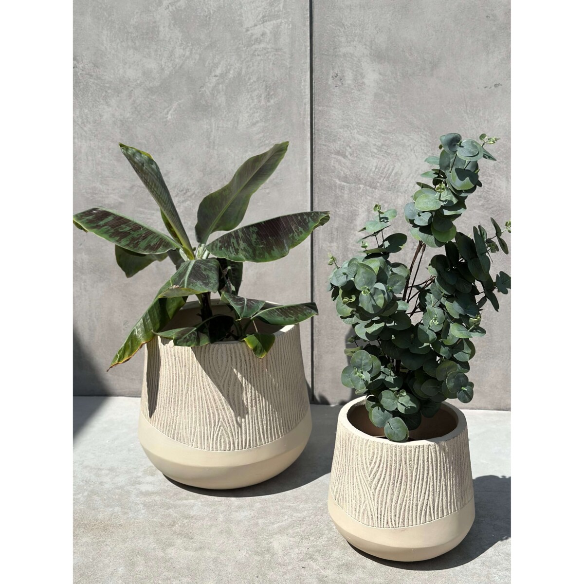 DONICZKA ALETTO SAND EDGE M