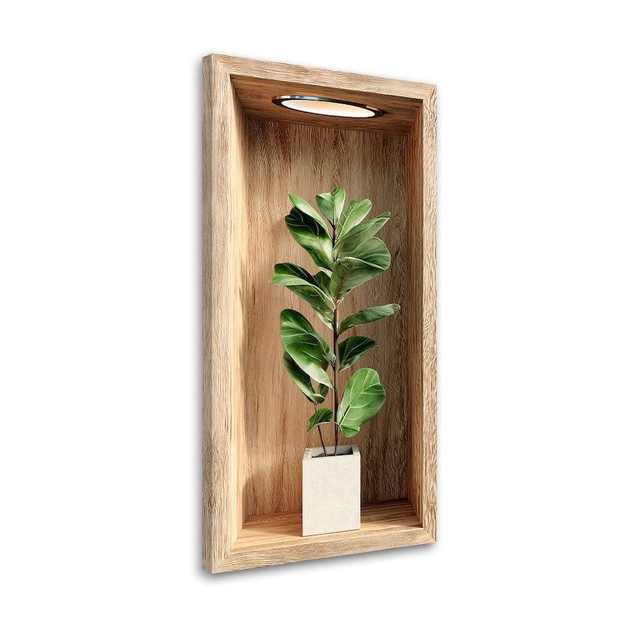 Obraz na ścianę do salonu kuchni, Liście rośliny w drewnianej wnęce 60x120
