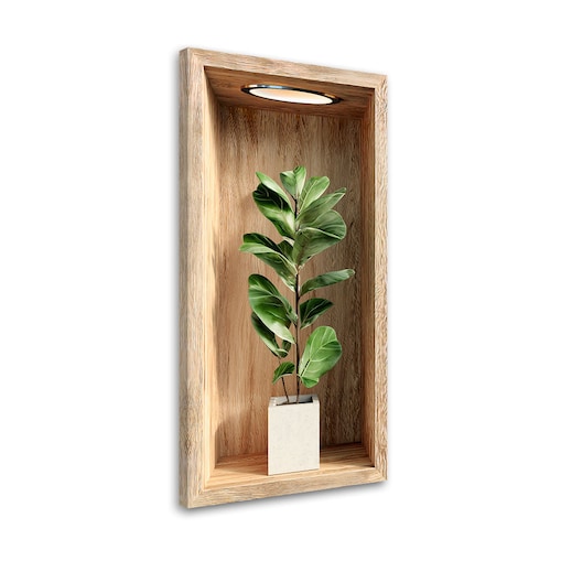 Obraz na ścianę do salonu kuchni, Liście rośliny w drewnianej wnęce 60x120