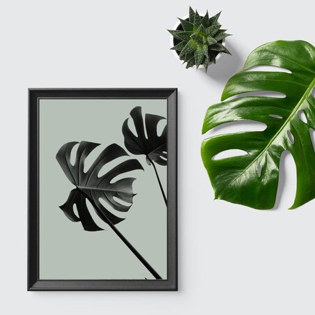 Poster Story, Plakat, Obraz - Monstera na Zielonym Tle No2, wymiary 60 x 84 cm