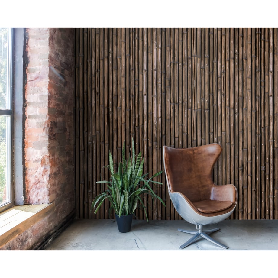 Tapeta Suchy bambus, 416x254cm