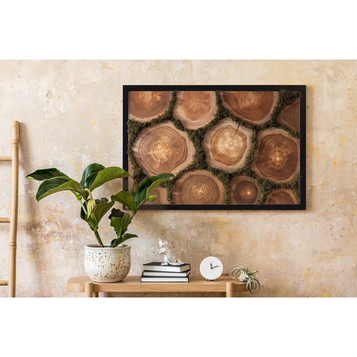 Obraz Przekrój pnia - mech chrobotek w czarnej ramie 60x40cm