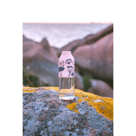 Butelka na wodę M Ginkgo Positive, 500 ml, Monbento