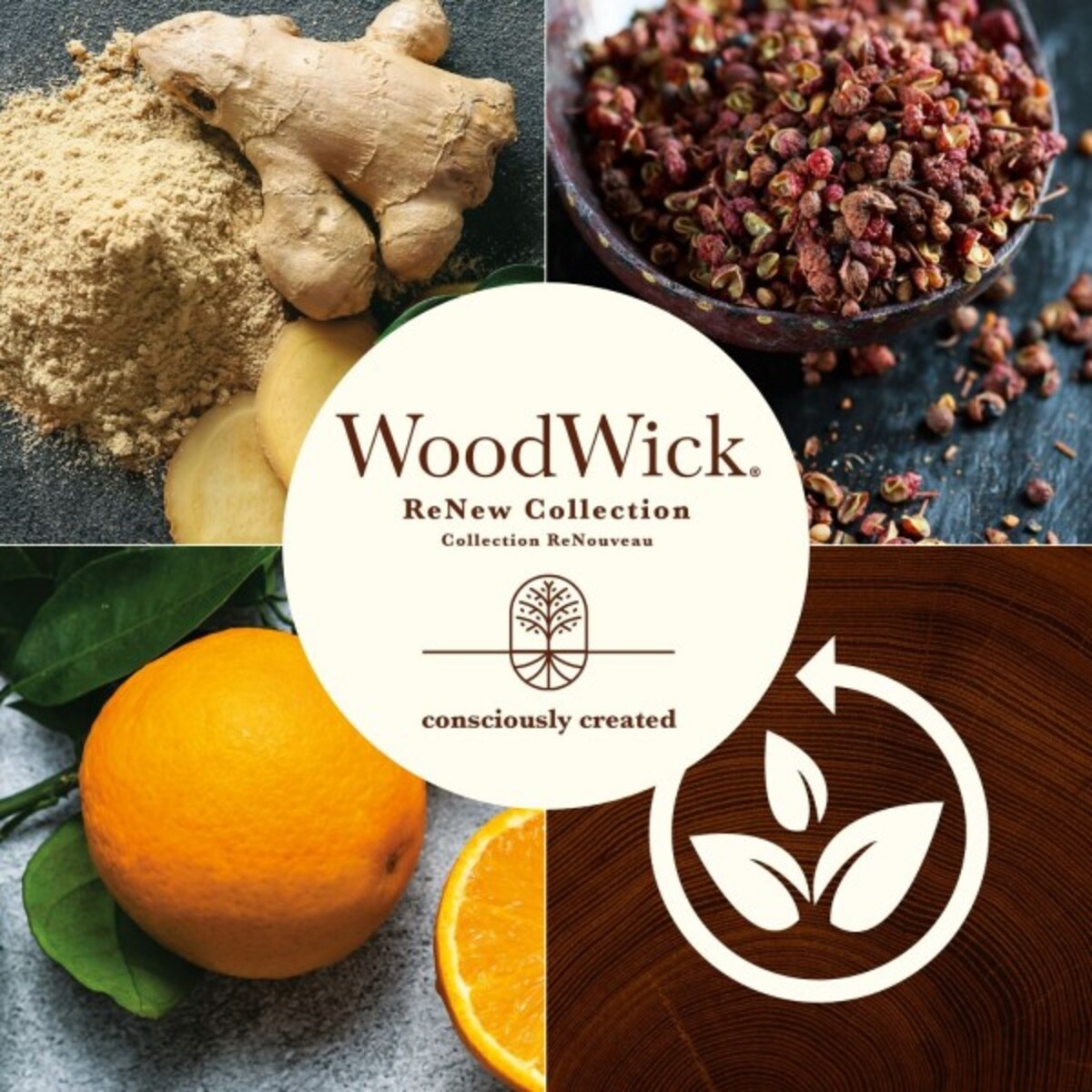 WoodWick świeca średnia GINGER & TUMERIC