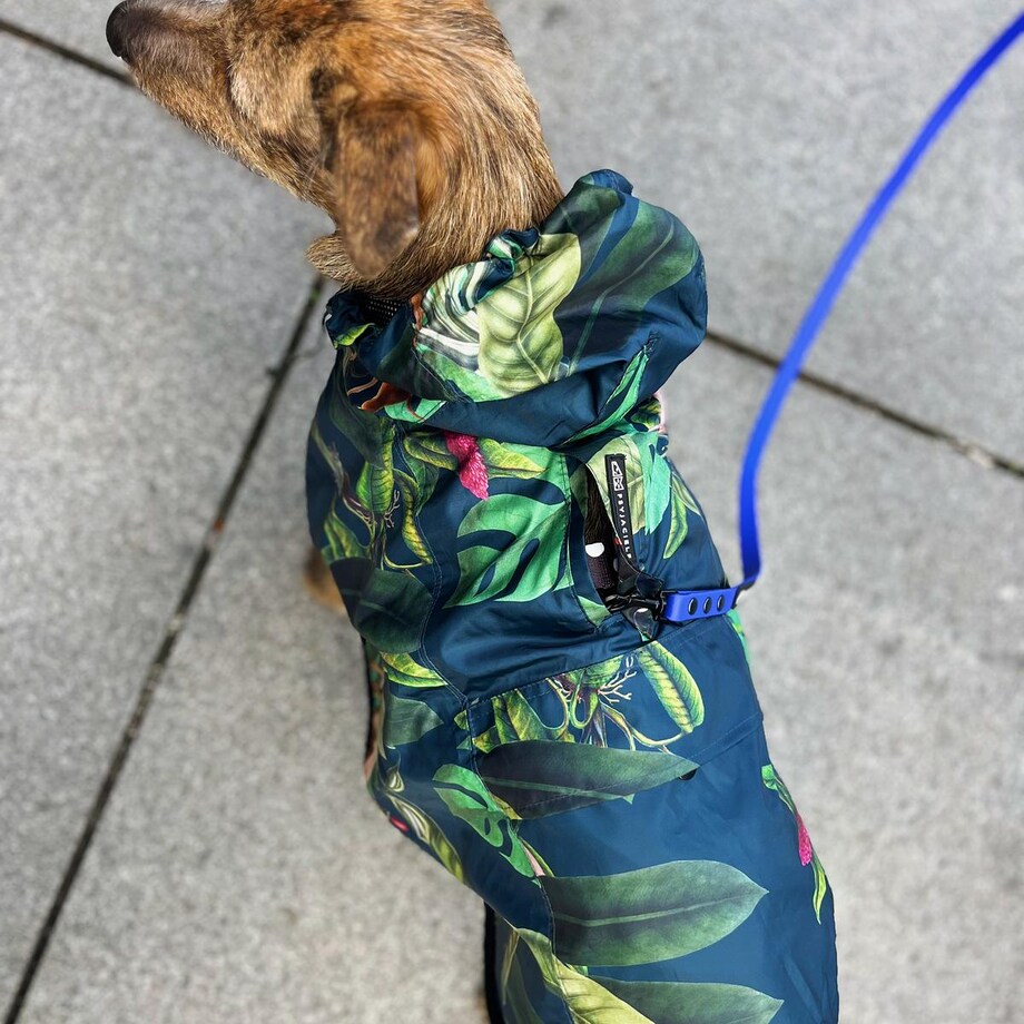 Płaszcz przeciwdeszczowy dla psa Psikolaż - Rozmiar: XL