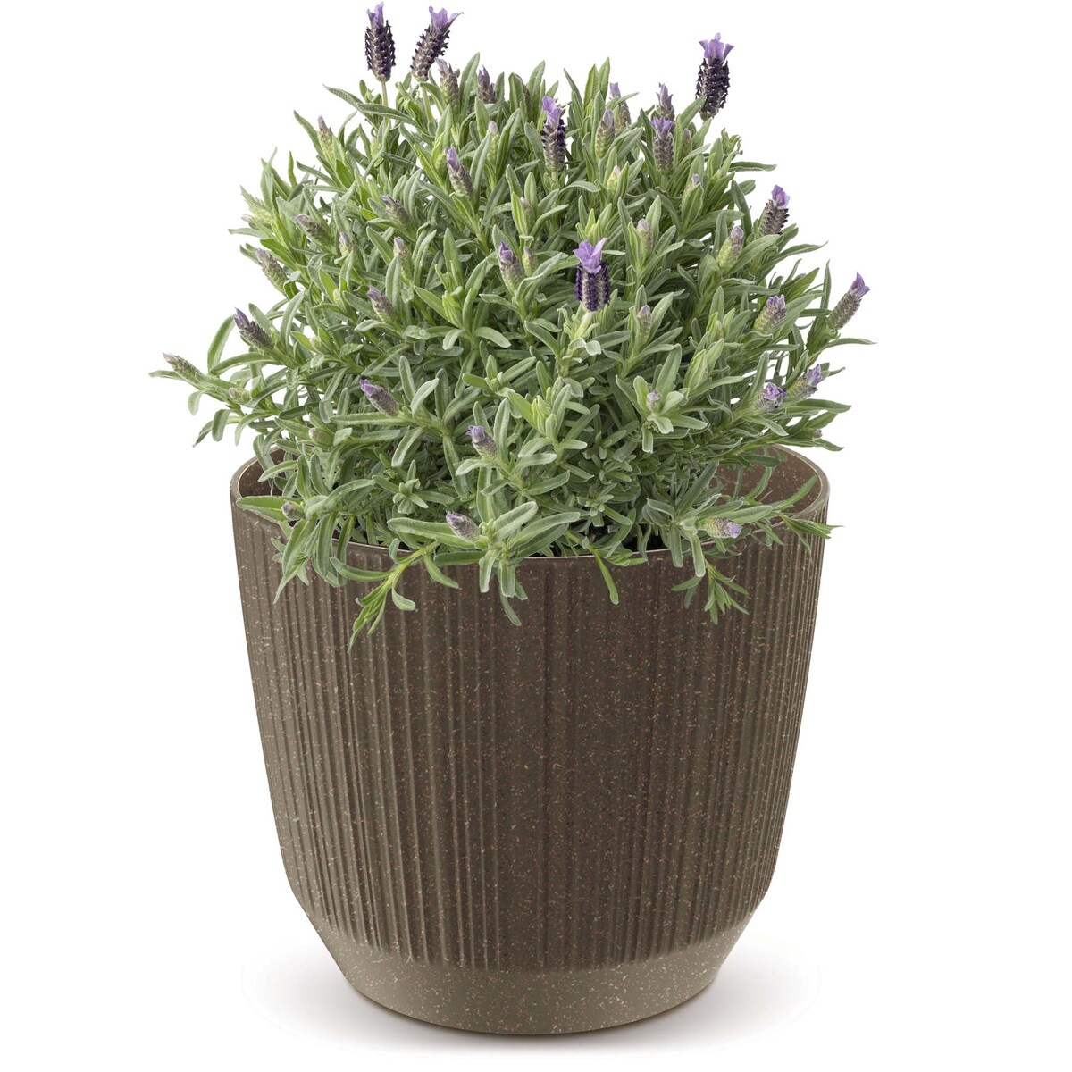 Doniczka Osłonka Domowa 16,8 Cm Ryfo Na Stół Parapet Do Domu Kawa