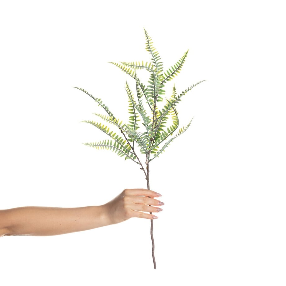Paproć na gałązce 60cm, 10 x 10 x 60 cm