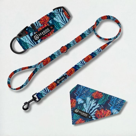 Zestaw: smycz, obroża i bandana, rozmiar S