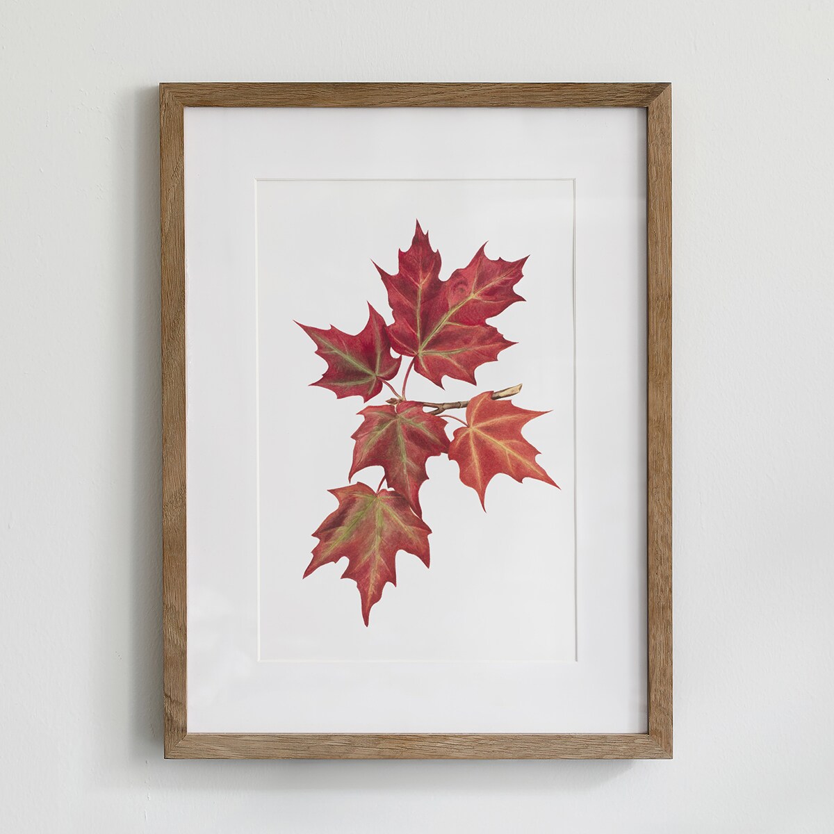Plakat Jesienne liście #1 21x30cm