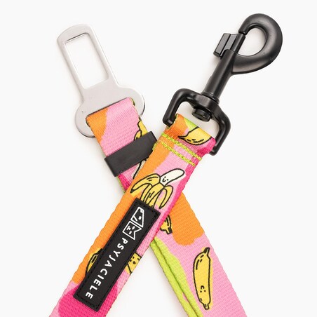 Pasy samochodowe "Owoc falliczny 2.0" - Szerokość taśmy: 25mm