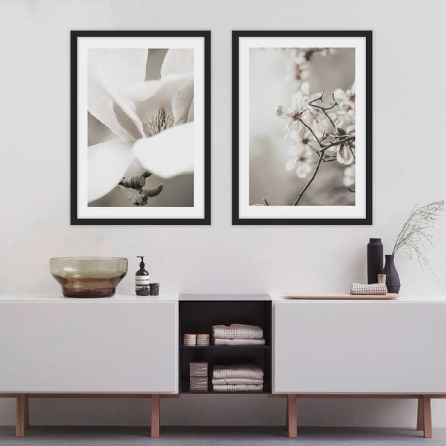 Poster Story, Plakat, Obraz - Białe Magnolie, wymiary 70 x 100 cm