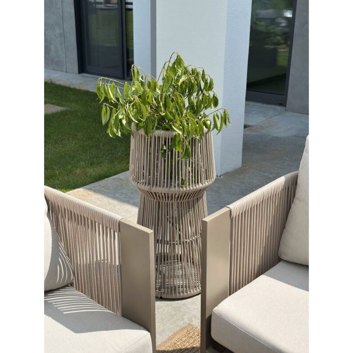 KWIETNIK TYZIANO SZAMPAŃSKI