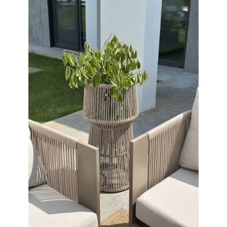 KWIETNIK TYZIANO SZAMPAŃSKI