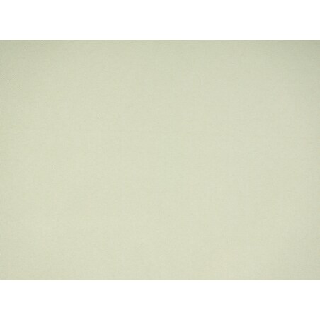 Poduszka na krzesło ogrodowe SASSARI PREMIUM 46 x 46 cm Jasnozielony