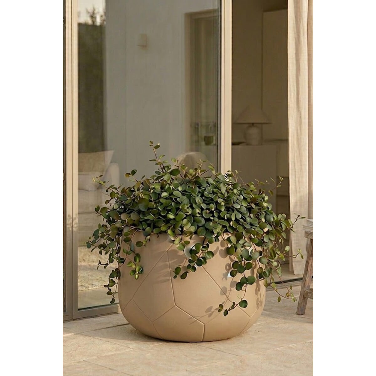 DONICZKA ODELLE BEIGE S