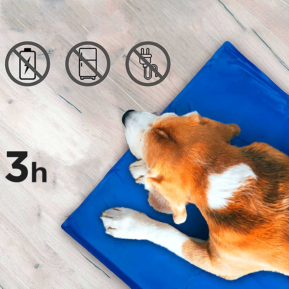 Mata Chłodząca Dla Psa Kota 65x50cm Legowisko