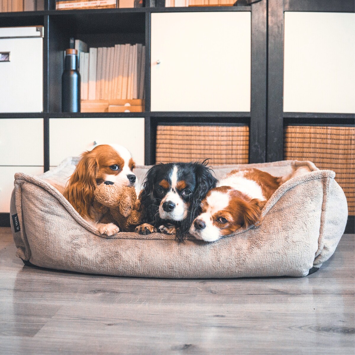 Ortopedyczne legowisko dla psa IRIS, 80x60 cm, Brąz
