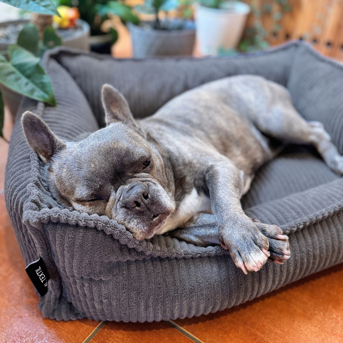 Ortopedyczne sztruksowe legowisko dla psa HUGO, 60x40 cm, Grafit