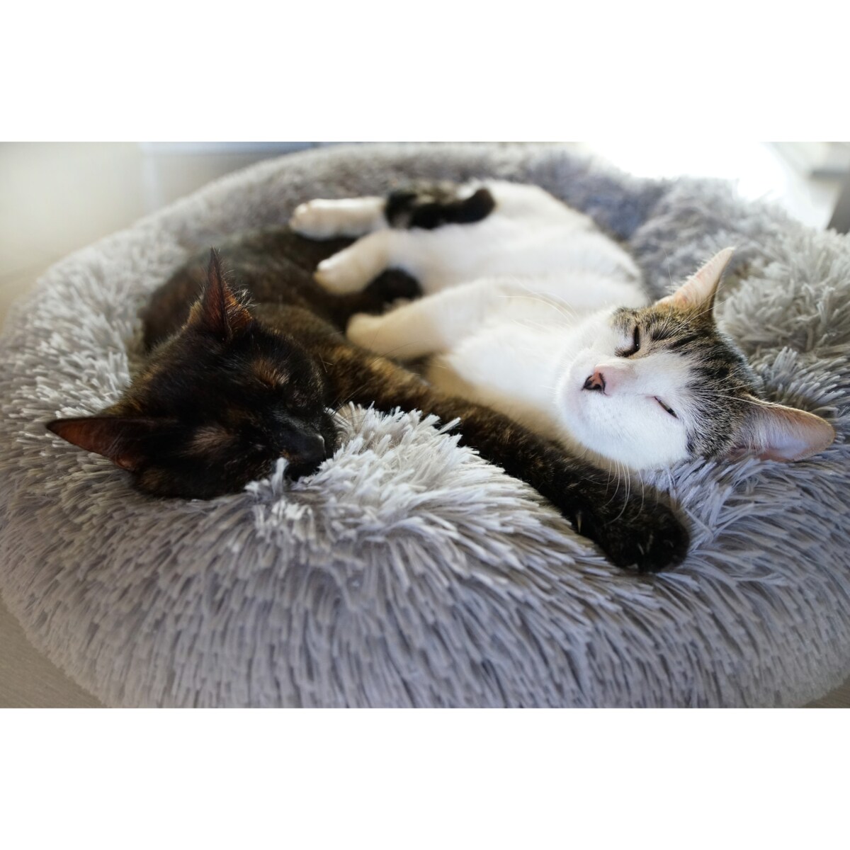 Legowisko pluszowe dla kota lub psa FUZZY, 70 cm, Szary