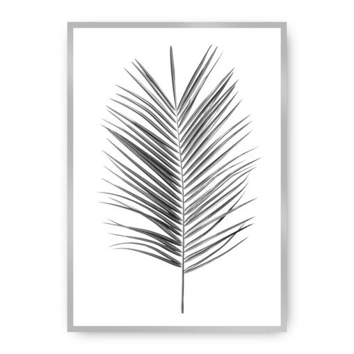 Plakat Palm Leaf Green, 30 x 40 cm, Ramka: Srebrna