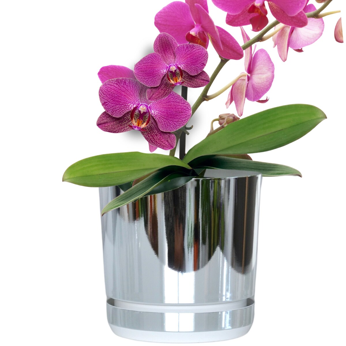 14 cm wzór KRAINA LODU Doniczka z podstawką glamour elegancka efekt lustra wysoki połysk nowoczesna