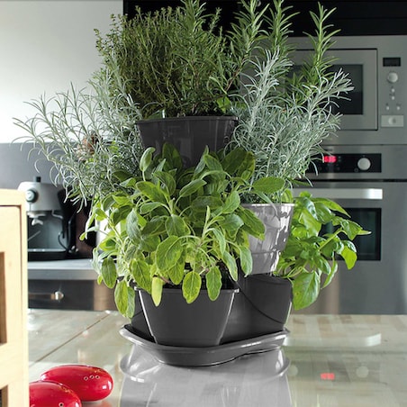 Doniczka Na Zioła Ziołówka Kaskadowa Zielnik