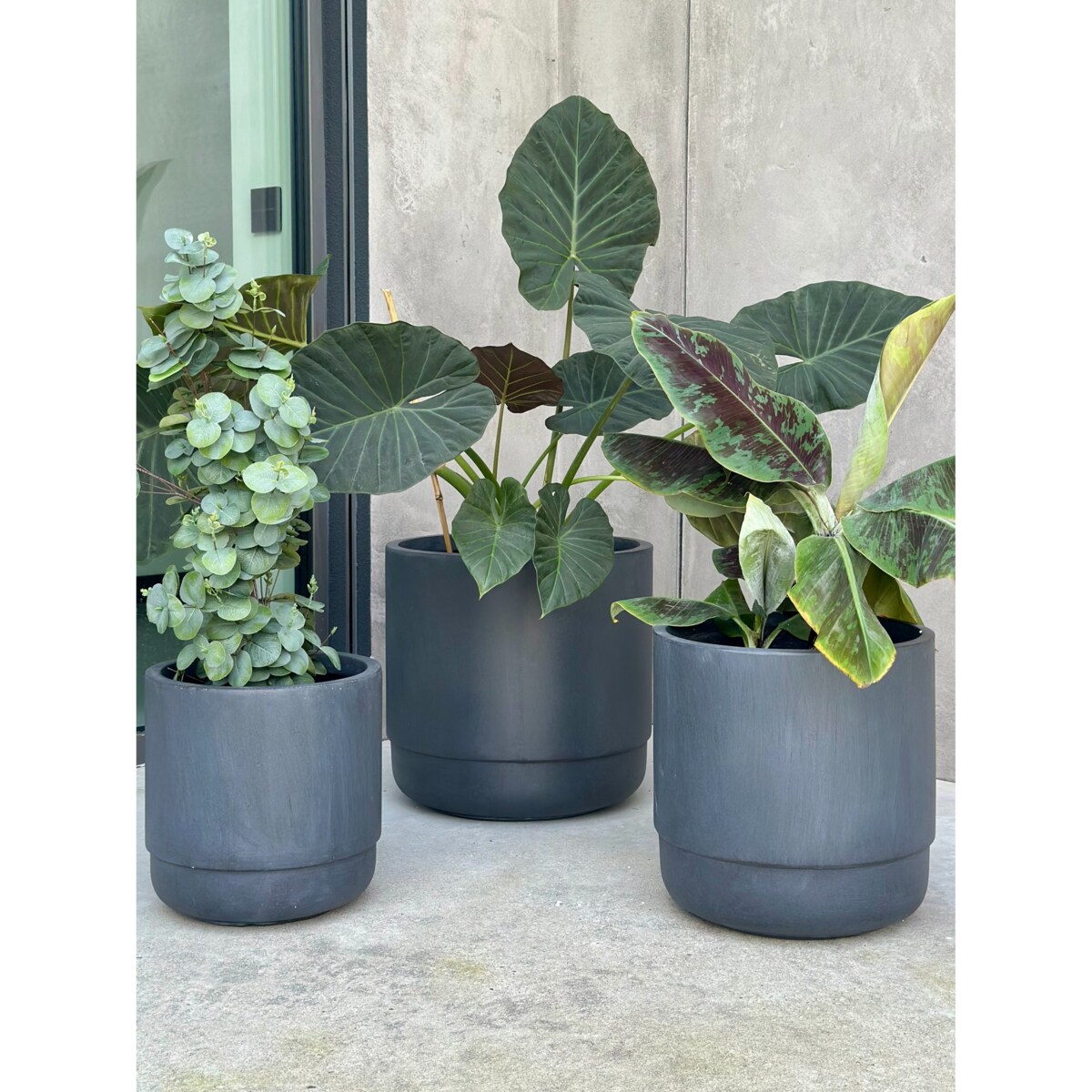 ZESTAW DONICZEK SANTIAGO SET