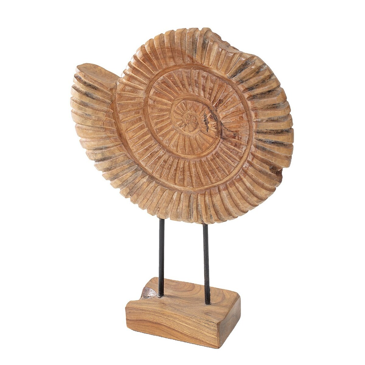 Dekoracja Fossil 45 cm, 34x10x45 cm