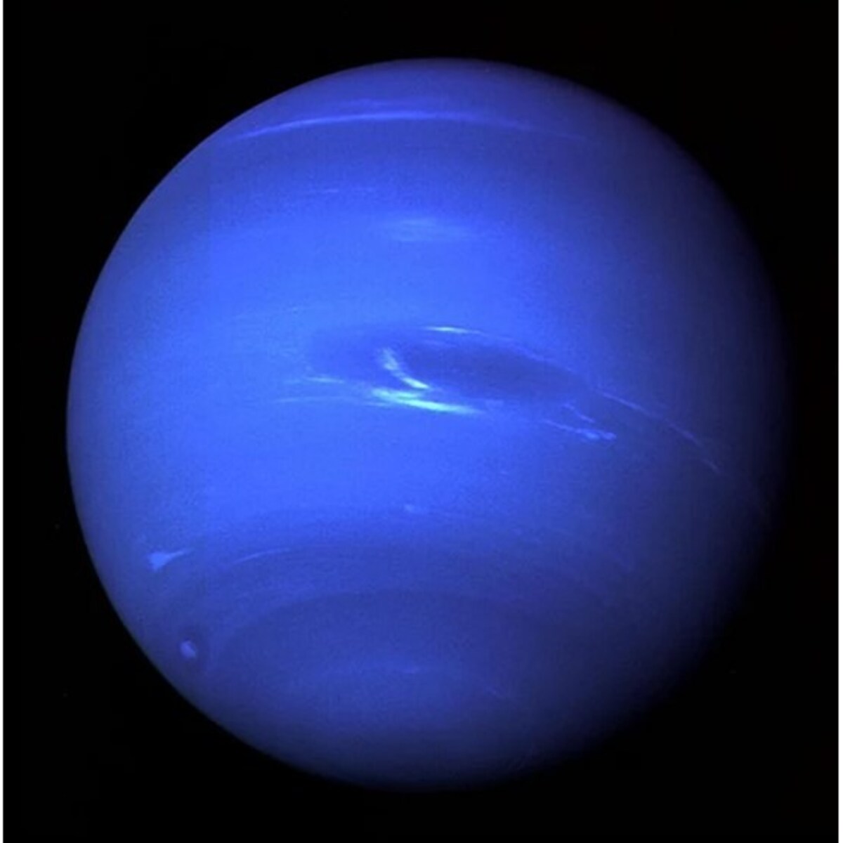 Pluszowa planeta - Neptun